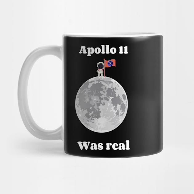 Apollo 11 was real by Stellar Facts